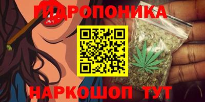 a pvp Кунгур