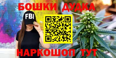 индика Михайловск