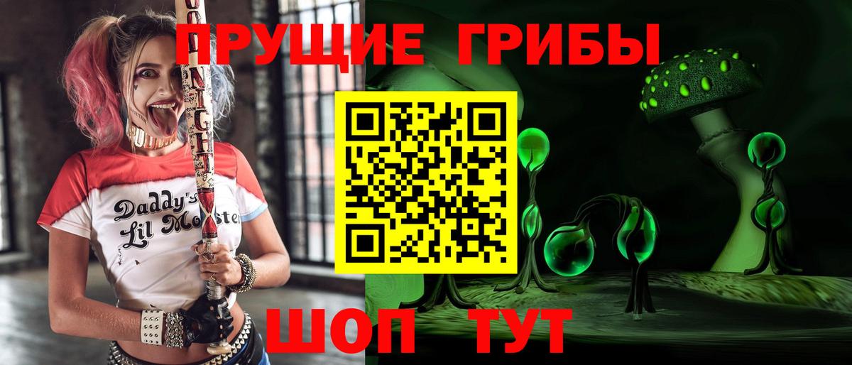 Грозный  Псилоцибиновые грибы прущие грибы  сколько стоит  Вход с VPN 